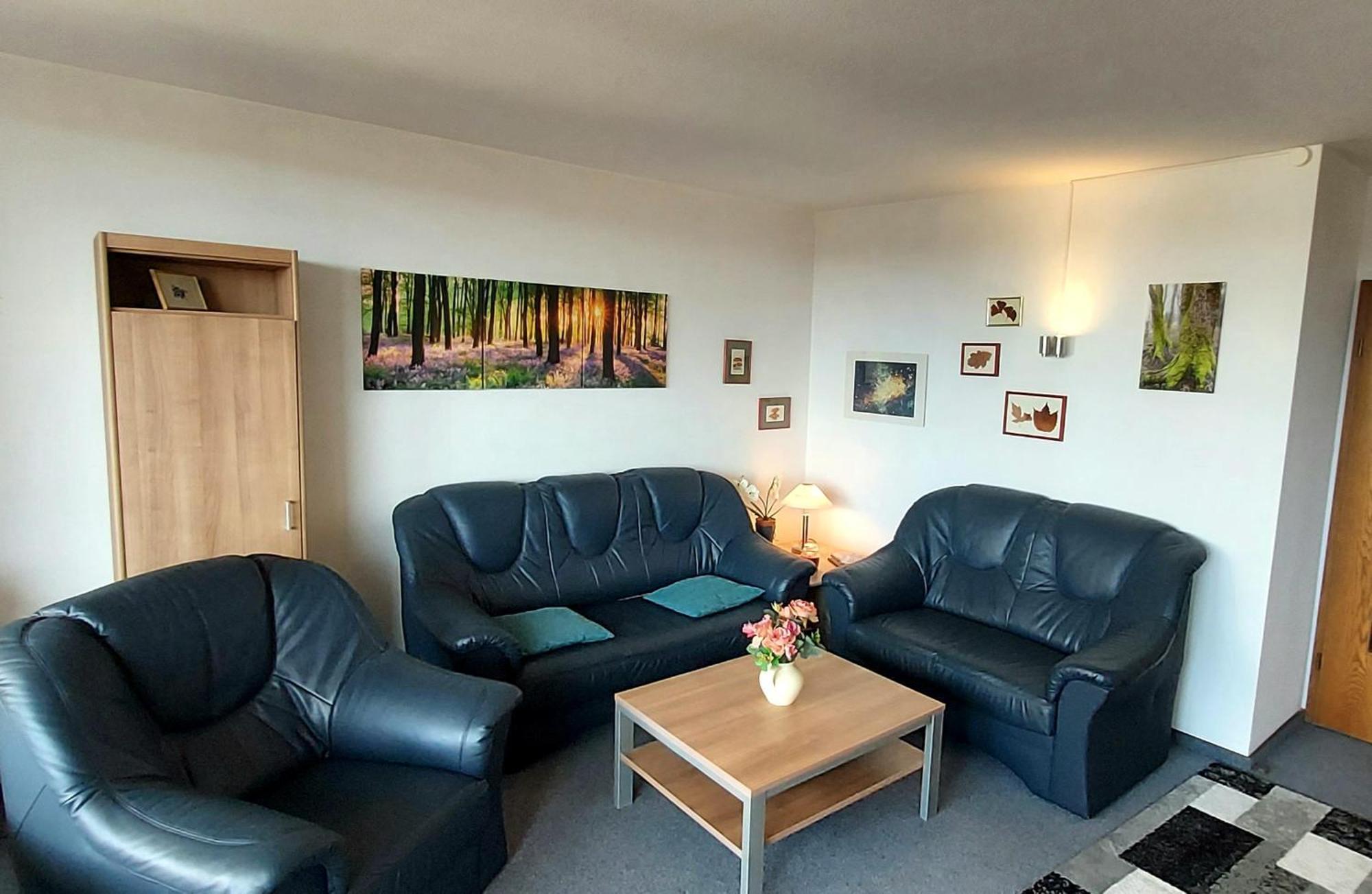 Panoramic Apartments Hohegeiß الغرفة الصورة
