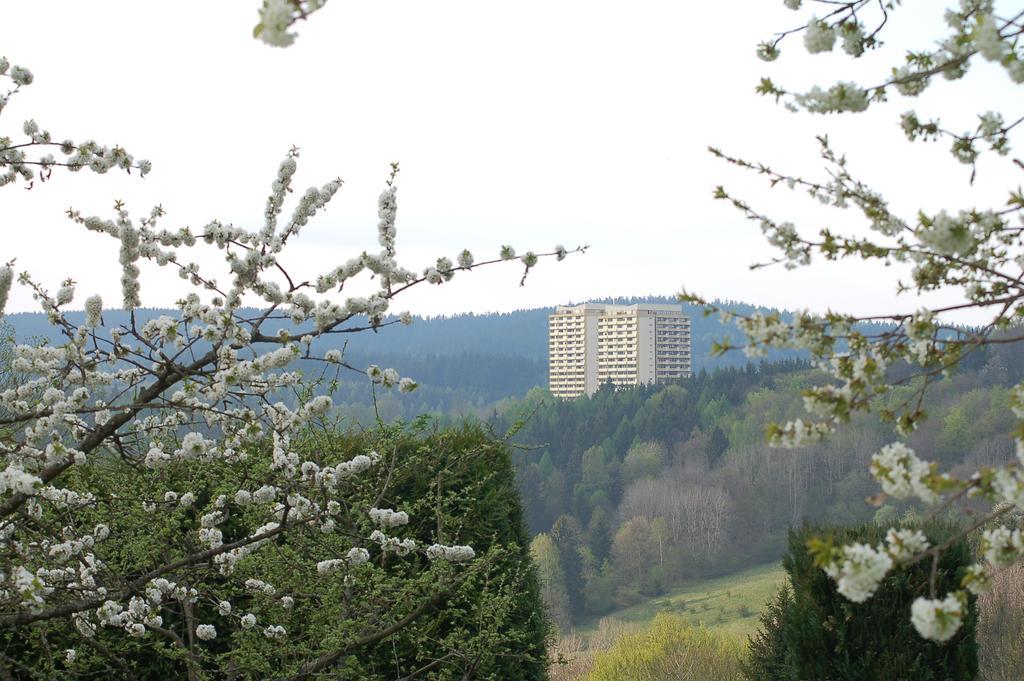Panoramic Apartments Hohegeiß المظهر الخارجي الصورة