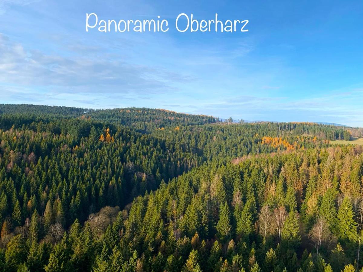 Panoramic Apartments Hohegeiß المظهر الخارجي الصورة
