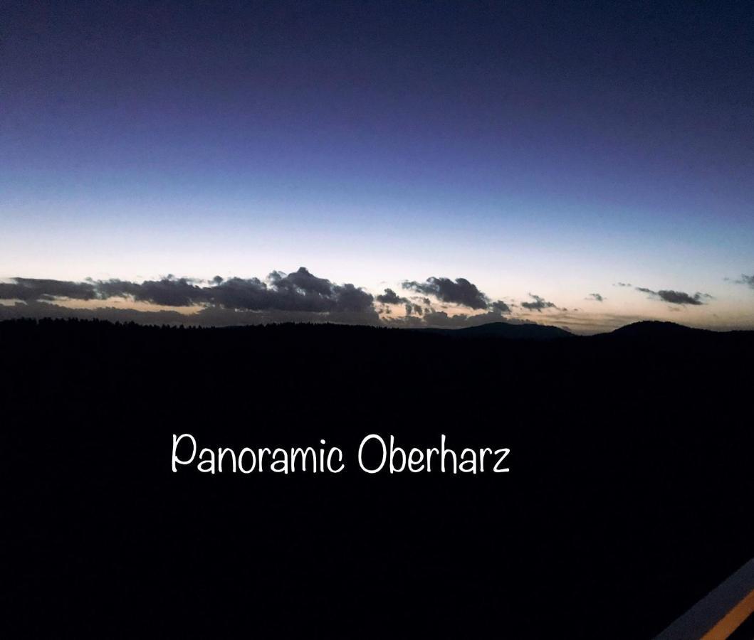 Panoramic Apartments Hohegeiß المظهر الخارجي الصورة